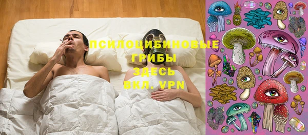 кокс Баксан